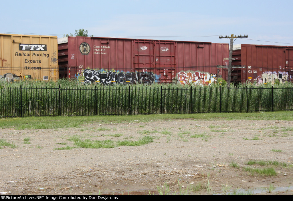 CP 218056